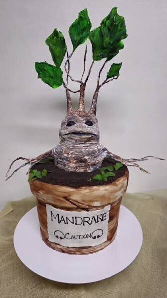 Mandragora